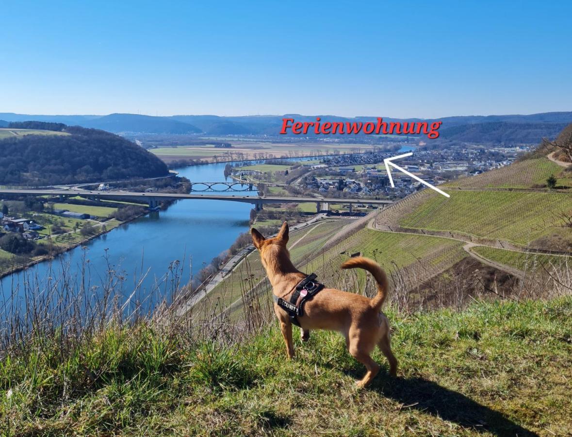 Familie Jonas Apartment Schweich Bagian luar foto