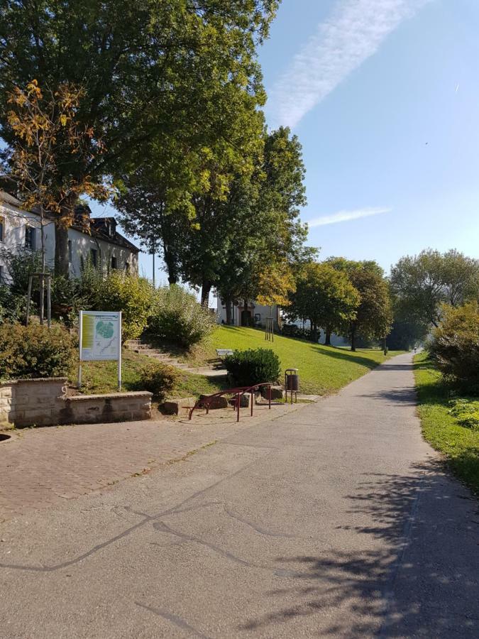Familie Jonas Apartment Schweich Bagian luar foto